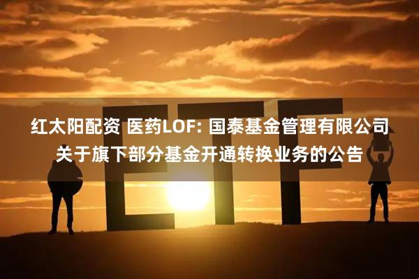 红太阳配资 医药LOF: 国泰基金管理有限公司关于旗下部分基金开通转换业务的公告