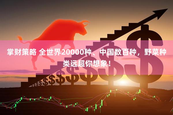掌财策略 全世界20000种、中国数百种，野菜种类远超你想象！